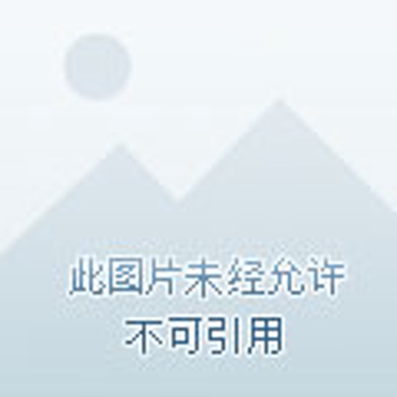 鱼丸供应链